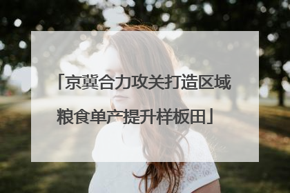 京冀合力攻关打造区域粮食单产提升样板田