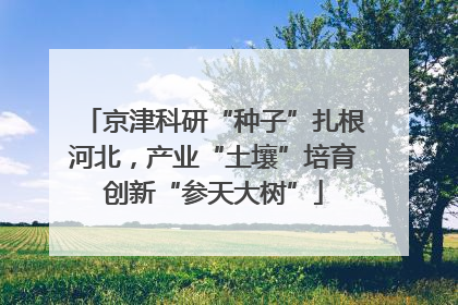 京津科研“种子”扎根河北，产业“土壤”培育创新“参天大树”