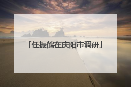 任振鹤在庆阳市调研