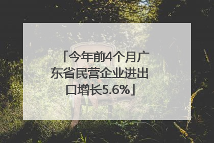 今年前4个月广东省民营企业进出口增长5.6%
