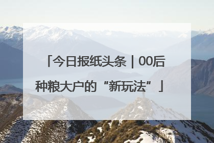 今日报纸头条｜00后种粮大户的“新玩法”