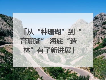 从“种珊瑚”到“育珊瑚” 海底“造林”有了新进展