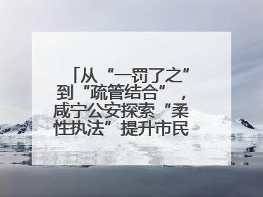 从“一罚了之”到“疏管结合”，咸宁公安探索“柔性执法”提升市民出行体验