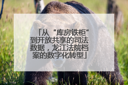 从“库房铁柜”到开放共享的司法数据，龙江法院档案的数字化转型