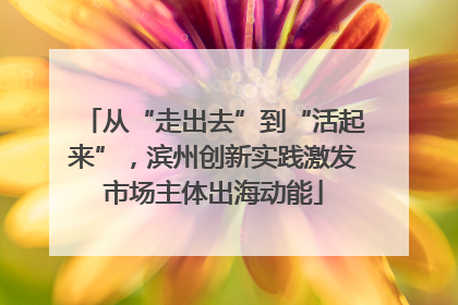 从“走出去”到“活起来”，滨州创新实践激发市场主体出海动能