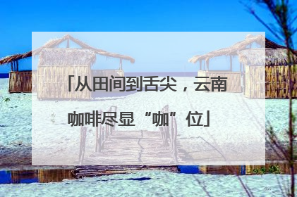 从田间到舌尖，云南咖啡尽显“咖”位