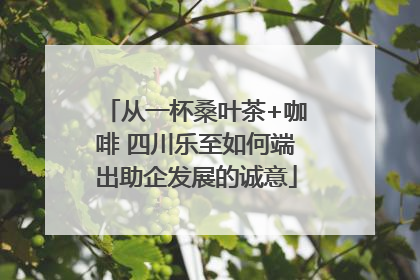 从一杯桑叶茶+咖啡 四川乐至如何端出助企发展的诚意