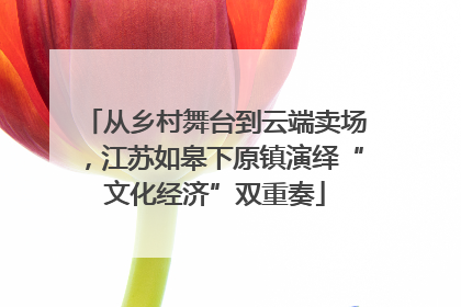 从乡村舞台到云端卖场，江苏如皋下原镇演绎“文化经济”双重奏