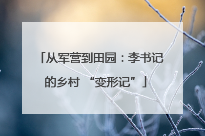 从军营到田园：李书记的乡村 “变形记”
