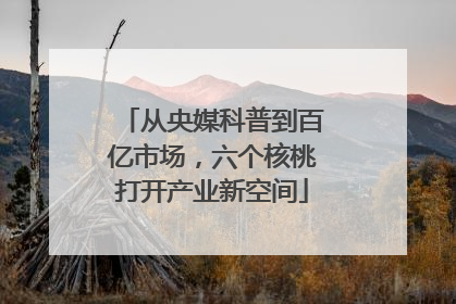 从央媒科普到百亿市场，六个核桃打开产业新空间