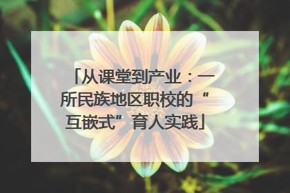 从课堂到产业：一所民族地区职校的“互嵌式”育人实践