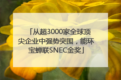 从超3000家全球顶尖企业中强势突围，能环宝蝉联SNEC金奖