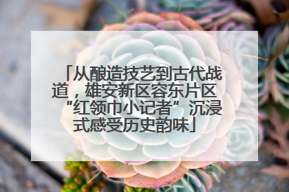 从酿造技艺到古代战道，雄安新区容东片区“红领巾小记者”沉浸式感受历史韵味