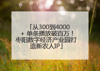 从300到4000+ 单条播放破百万！枣阳数字经济产业园打造新农人IP