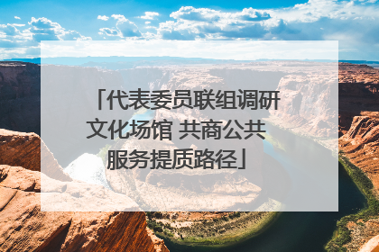 代表委员联组调研文化场馆 共商公共服务提质路径
