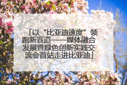 以“比亚迪速度”领跑新赛道——媒体融合发展暨绿色创新实践交流会首站走进比亚迪