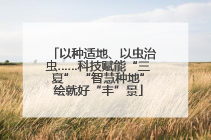 以种适地、以虫治虫……科技赋能“三夏” “智慧种地”绘就好“丰”景