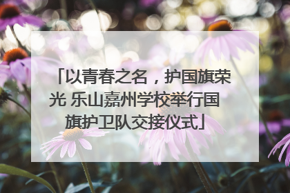以青春之名，护国旗荣光 乐山嘉州学校举行国旗护卫队交接仪式