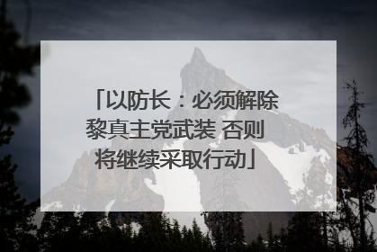 以防长：必须解除黎真主党武装 否则将继续采取行动