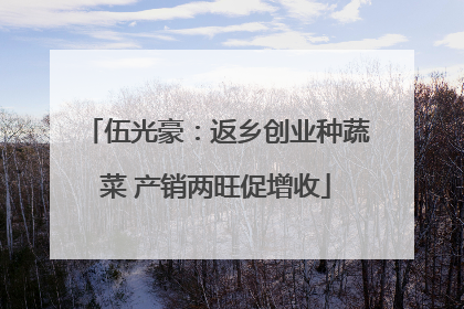 伍光豪：返乡创业种蔬菜 产销两旺促增收
