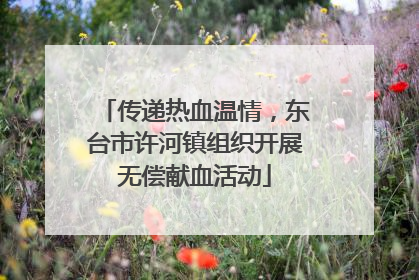 传递热血温情，东台市许河镇组织开展无偿献血活动