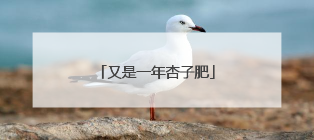 又是一年杏子肥