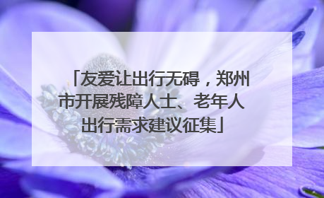 友爱让出行无碍，郑州市开展残障人士、老年人出行需求建议征集