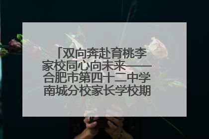 双向奔赴育桃李 家校同心向未来——合肥市第四十二中学南城分校家长学校期末总结会圆满召开