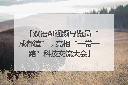 双语AI视频导览员“成都造”，亮相“一带一路”科技交流大会