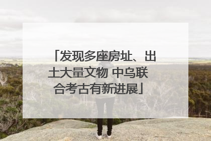 发现多座房址、出土大量文物 中乌联合考古有新进展