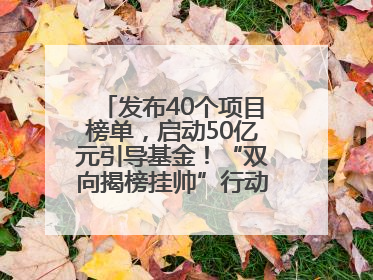 发布40个项目榜单，启动50亿元引导基金！“双向揭榜挂帅”行动成果丰硕