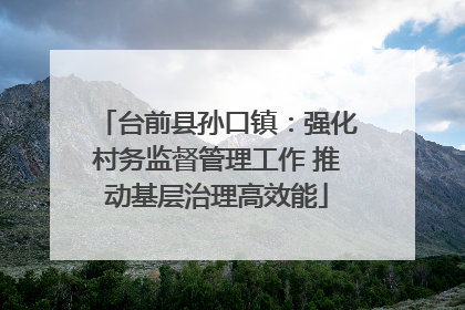台前县孙口镇：强化村务监督管理工作 推动基层治理高效能