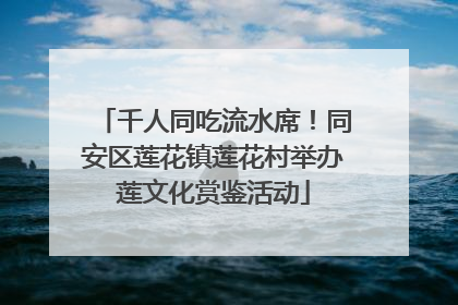 千人同吃流水席！同安区莲花镇莲花村举办莲文化赏鉴活动