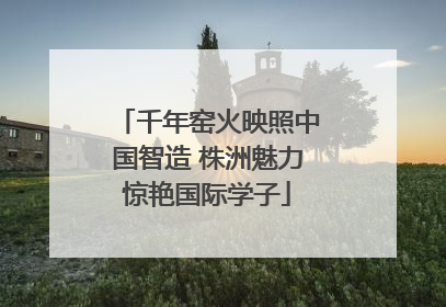 千年窑火映照中国智造 株洲魅力惊艳国际学子