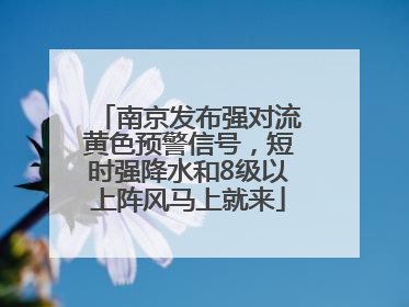 南京发布强对流黄色预警信号，短时强降水和8级以上阵风马上就来