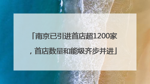 南京已引进首店超1200家，首店数量和能级齐步并进