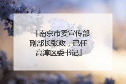 南京市委宣传部副部长张政，已任高淳区委书记