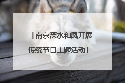 南京溧水和凤开展传统节日主题活动