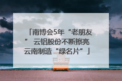 南博会5年“老朋友” 云铝股份不断擦亮云南制造“绿名片”