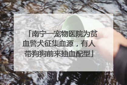 南宁一宠物医院为贫血警犬征集血源，有人带狗狗前来抽血配型