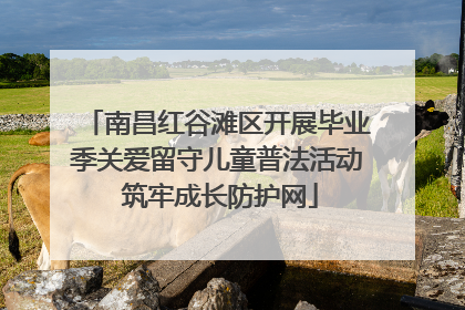 南昌红谷滩区开展毕业季关爱留守儿童普法活动 筑牢成长防护网
