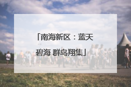 南海新区：蓝天碧海 群鸟翔集