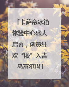 卡萨帝冰箱体验中心盛大启幕，创意狂欢“嵌”入青岛富尔玛