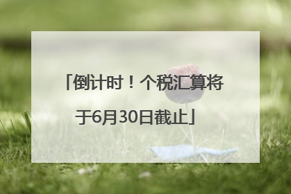 倒计时！个税汇算将于6月30日截止