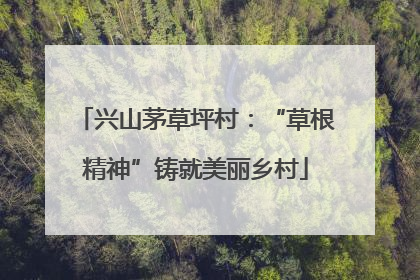 兴山茅草坪村：“草根精神”铸就美丽乡村