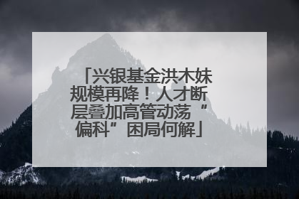 兴银基金洪木妹规模再降！人才断层叠加高管动荡“偏科”困局何解
