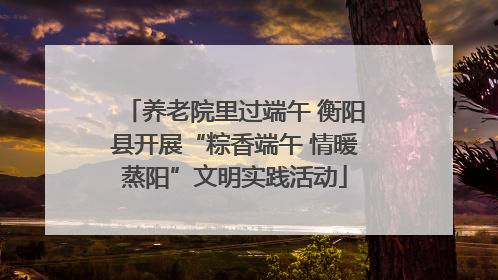 养老院里过端午 衡阳县开展“粽香端午 情暖蒸阳”文明实践活动