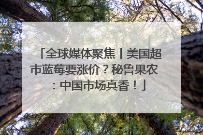 全球媒体聚焦丨美国超市蓝莓要涨价？秘鲁果农：中国市场真香！