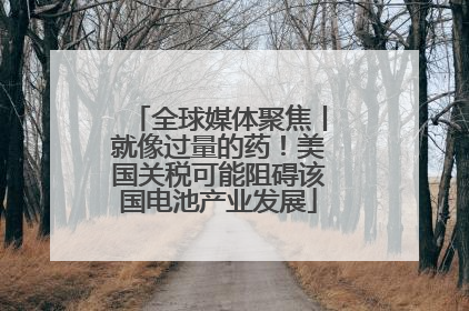 全球媒体聚焦丨就像过量的药！美国关税可能阻碍该国电池产业发展