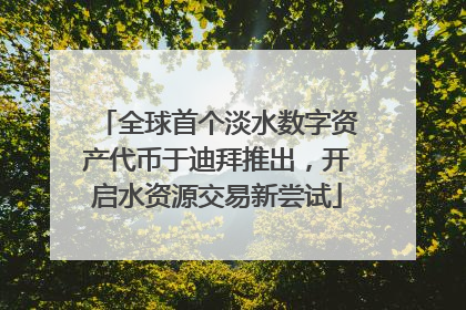 全球首个淡水数字资产代币于迪拜推出,开启水资源交易新尝试